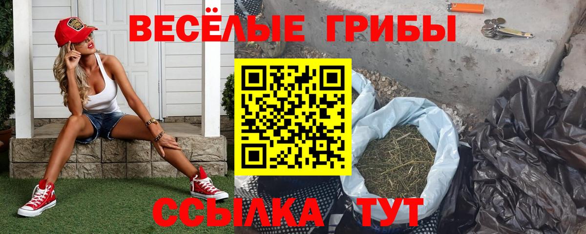 Заводоуковск  Псилоцибиновые грибы MAGIC MUSHROOMS  Псилоцибиновые грибы Psilocybe  Вход с VPN 
