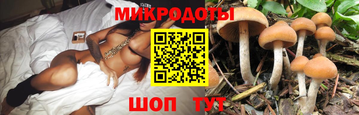 Псилоцибиновые грибы прущие грибы Заводоуковск